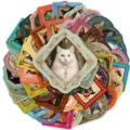 50 Stk. Vintage Katzen Aufkleber in prunkvollen Fotorahmen, wasserdichte Deko Aufkleber DIY. - 50 Blatt