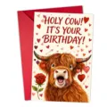 Primo piano dettagliato del biglietto d'auguri compleanno Highland con set busta. - Stile Mucca delle Highlands (T020402632)