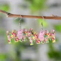 Pendientes colgantes de madera MOM flores día de la madre, joyería corazón regalo mamá. - Estilo Silueta Letra MOM (4341)