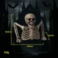 Halloween Skelett Requisite Oberkörper Simulation Menschliche Knochen Gruselige Party Deko - Halbkörper-Skelett - Off-White