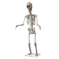 Squelette Géant d'Halloween de 8,2 Pieds Son Électrique Os Grandeur Nature Décoration - Squelette Assemblé Géant (Z288) / Grande Taille Réelle