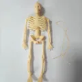 Halloween mini kunststof skelet rekwisiet met touw, ideaal voor griezelige feest tafeldecoratie. - 15cm Met Gesp / Beige