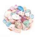 Colorful natural drilled seashell beads for DIY wind chimes and jewelry crafting accessories. - Sliced Shells / Approx 10-22mm (Approx 65 Pieces/Pack)