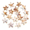 Acrylic starfish pendants ocean style DIY jewelry charms handmade necklace earrings craft accessories - Straight Hole Starfish / 100pcs Pack / Brown and White