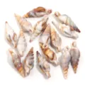 Breloques coquillage acrylique pendentifs conque pour bijoux DIY fabrication colliers boucles - Petit Cérithe avec Boucle / 50 Pièces / Marron et Blanc