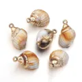 Beige acrylic gold rim shell charm DIY jewelry pendant for bracelet necklace making. - Round Conch With Hanging Loop (T9688) / 5 Pieces/Pack (Outer Diameter Approx 21X32mm)