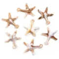 Pendentifs étoile de mer en acrylique pour bijoux faits main colliers boucles d'oreilles - Étoile de Mer avec Boucle / 50 Pièces / Marron et Blanc