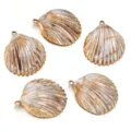 Beige acrylic gold-edged shell DIY jewelry pendant charms for necklace and bracelet. - 5 Pieces/Pack (Outer Diameter Approx 43.5X52mm)