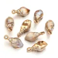 Acrylic Gold Edge Shell Conch Charm Pendants DIY Jewelry Accessories for Necklace Bracelet - 10 Pieces/Pack (Outer Diameter Approx 16X32.5mm)