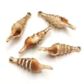 Coffee acrylic gold plated conch shell pendant for DIY ocean series jewelry making bracelet necklace - 5 Pieces/Pack (Outer Diameter Approx 15X50mm)