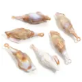 Pendentif coquillage en acrylique style océan accessoires bijoux DIY pour colliers boucles - Grande Conque Striée avec Boucle / Lot de 10 / Marron et Blanc