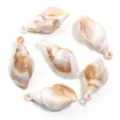 Pendentifs coquillage acrylique conque DIY accessoires bijoux faits main pour collier boucles - Grand Escargot Tacheté avec Boucle / Lot de 10 / Marron et Blanc
