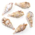 Pendentifs coquillage en acrylique pour collier et boucles d'oreilles accessoires. - Conque Pointillée Rayée avec Boucle / Lot de 10 / Marron et Blanc