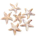 Pendentif étoile de mer en acrylique style océan accessoires bijoux DIY pour boucles d'oreilles - Étoile de Mer à Petit Trou / Lot de 10 / Marron et Blanc