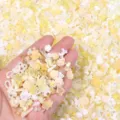 Mixed resin nail art charms flowers bows bears DIY cabochons for phone case decoration - 20g/Pack / Yellow Series