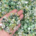 Resin Rose Heart Nail Art Charms Mixed Green DIY Craft Patch Cabochons Variety Styles - 20g/Pack / Green Series