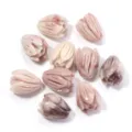 Natural shell carved tulip flower beads 7x9mm for DIY jewelry making earrings brooch - Two-tone - Coffee + White