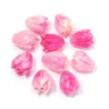 Natural shell powder carved tulip flower beads pink diy jewelry making accessories 7x9mm - Rose Red + White