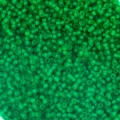 Green frosted glass seed beads 2mm bulk DIY bracelet craft cross stitch accessories - 450g Pack (About 2mm) / Green