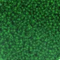 Frosted glass seed beads 2mm wholesale bulk matte green craft beads for DIY jewelry making - 450g Pack (About 2mm) / Army Green F9