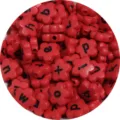 Rode acryl bloemletterkraaltjes voor diy sieraden maken en leuke knutselaccessoires. - 100 stuks verpakking / Rood