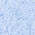 2mm Light Blue Imitation Jade Glass Seed Beads DIY Bracelet Jewelry Making Material - 50g Pack / Snow White V12