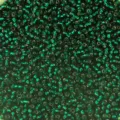 2mm Green Silver Lined Glass Seed Beads Bulk for DIY Bracelets Necklaces Jewelry Making - Dark Green W19 (50g/Pack)