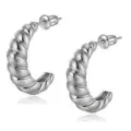 Elegante dikke gedraaide oorbellen voor dames, stijlvolle geometrische metalen oorbellen. - Stijl 5 Zilver