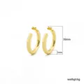 Gouden dikke oorringen 30mm mode sieraden stijlvol metalen accessoire variant. - 30*5mm / Goud