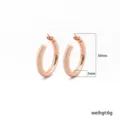 Roségoud Chunky Creolen oorbellen voor vrouwen 30mm 925 zilveren naald messing sier - 30*5mm / Roségoud