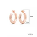 Klassieke 25mm dikke créolen oorbellen met 925 zilveren naald, elegante vergulde messing sieraden. - 25*5mm / Roségoud