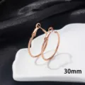 Roségoud roestvrijstalen creolen voor dames, 30mm grote veergesp cirkel oorbellen te koop. - 30mm / Roségoud