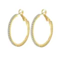 Mooie 18K Vergulde Zirkonia Creolen oorbellen voor dames elegante mode ronde sieraden - 50mm / Goud