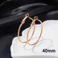 Rosé gouden roestvrijstalen oorringen 40mm grote cirkel oorbellen voor dames stijlvol - 40mm / Roségoud