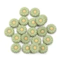 Perles marguerites en silicone vert fleurs colorées bracelet pendentif DIY bijoux - Taille 20 mm, diamètre du trou 2,4 mm / 2 Pièces/Ensemble / Jaune vert cyan