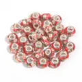 Resin large hole charm beads with colorful apple pattern and metal core for DIY bracelets. - Apple Slices / 10 Pieces Pack