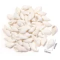 Ciondolo conchiglia marina naturale gioielli DIY collana fatta a mano accessori 10x19mm - Mezza conchiglia bianca non porosa / 40g (Circa 55-60 Pz)
