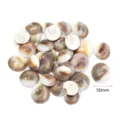 Cabochon di conchiglie marine naturali 16mm perline a spirale per creazione gioielli fai da te. - Grande Conchiglia Sole Non Perforata / 40g (Circa 18-22 Pz)
