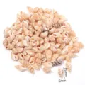 Conchiglie naturali forate ciondoli di lumaca per gioielli fatti a mano accessori. - Conchiglia di riso giallo non porosa / 40g (Circa 65-70 Pz)