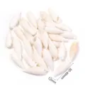 Ciondoli di conchiglie bianche naturali per creazione gioielli fai da te e accessori. - Conchiglia di bambù non porosa / 40g (Circa 10-12 Pz)