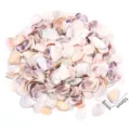 Perline di conchiglie naturali sfuse per creazione di gioielli artigianato fai da te accessori - Conchiglia a lingua non porosa / 40g (Circa 500 Pz)
