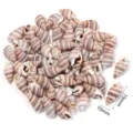 Pendente conchiglia naturale rigata perline foro singolo DIY fatti a mano accessori - Conchiglia Striata Non Porosa / 40g (Circa 80-85 Pz)