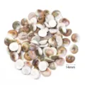 Perline conchiglia naturale occhio di gatto 14mm foro singolo fai da te gioielli collana accessori - Piccola Conchiglia Sole Non Perforata / 40g (Circa 51-56 Pz)