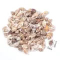 Perline di conchiglia naturale con foro singolo perforate per gioielli fai da te 7-11mm - Piccola Mezza Conchiglia a Fiore Non Perforata / 40g (Circa 200-205 Pz)