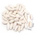 Rimorchi di conchiglie naturali perline di conchiglia bianca forate per gioielli fai da te collana - Conchiglia fata non porosa / 40g (Circa 28-32 Pz)