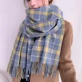 Classic blue plaid winter scarf with cozy fringe details, perfect for chilly weather. - Style 8