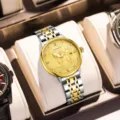 Men's automatic mechanical watch with gold dial, dual-tone stainless steel strap and luxury design. - Two-tone Steel Strap