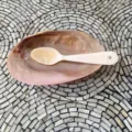 Natural seashell creative tableware spoon, exquisite dessert afternoon tea shell spoon. - Solid Color / 16cm