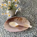 Natural mother of pearl shell spoon and dish set, creative tableware for afternoon tea. - Carved Little Fish / 16cm