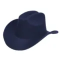 Close-up detail van de donkerblauwe vilt cowboyhoed rand en kroon textuur voor stijl. - Marineblauw